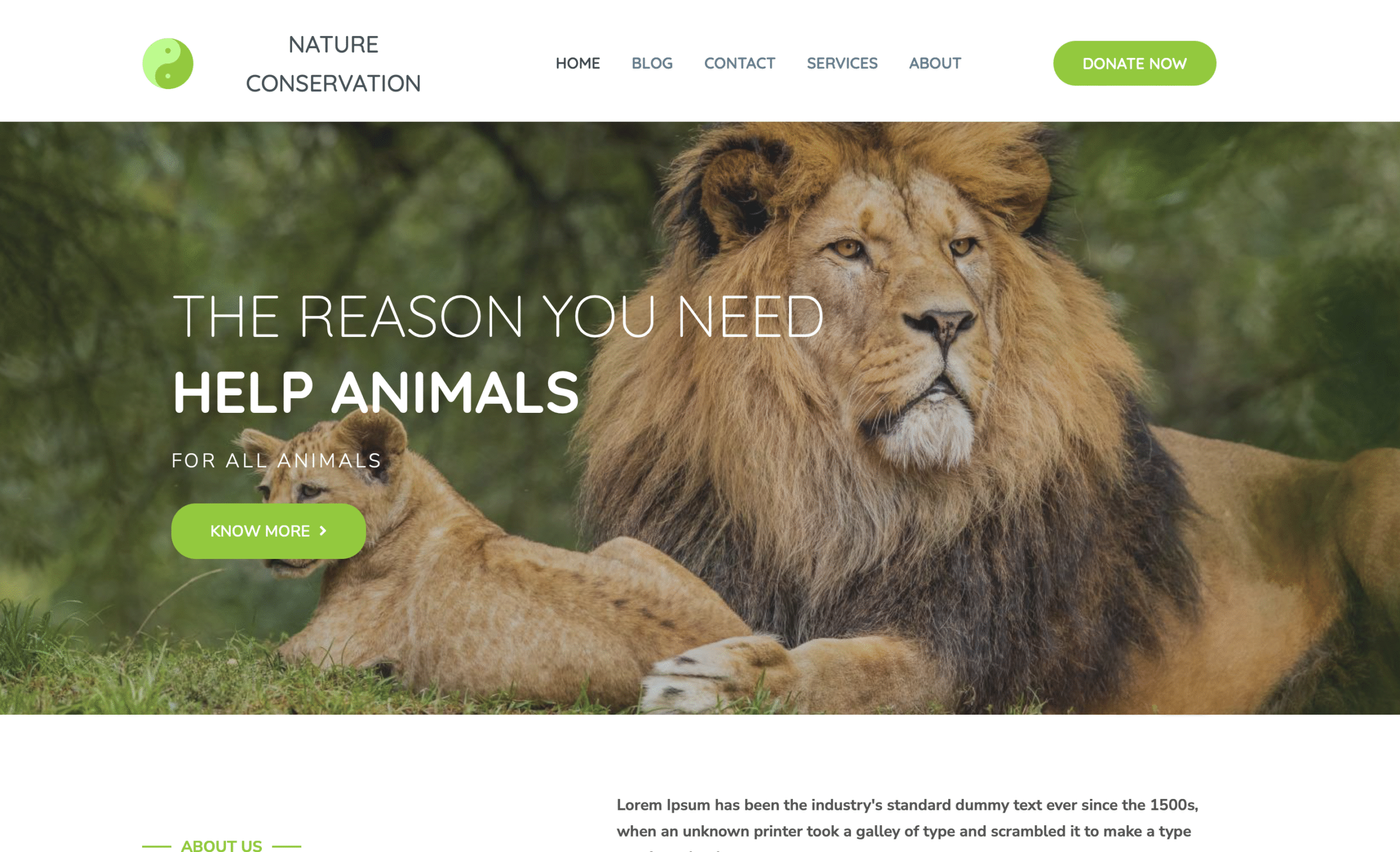 Screenshot 2025-06-01 at 17.21.16